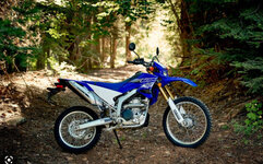 Yamaha wr250r.jpg