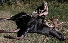 9-26-22 Bull.jpg