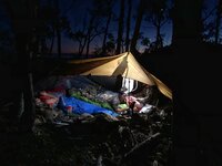B9929279-FDFF-4AB3-BD9E-AAEDF045F012.jpeg