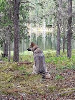 IMG_20210523_084803683.jpg