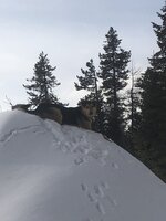 72969A06-8D30-492A-9B6F-D20882F4E703.jpeg