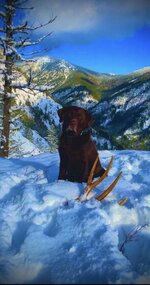 D45935B3-7B5A-4AD3-95E5-770E712886BA.jpeg