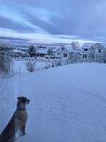 206C11F5-9582-415D-B119-E8D2B0BCE942.jpeg