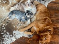 IMG_20201225_173456_413.jpg