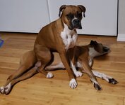 20230311_192224.jpg