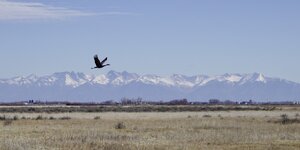 8A934B99-70CE-445D-A00C-04A57E17505F.jpeg