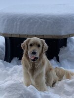 IMG_4321.jpeg