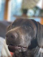 EDAA0DCD-BB1F-417C-AAB8-E0918D95335B.jpeg