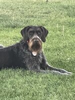 IMG_5160.jpeg