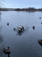 10722C0D-5A6E-4685-A477-6E3EA8719191.jpeg