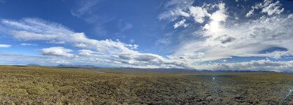 IMG_1016.jpeg