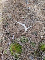 20230316_123554.jpg