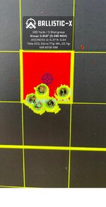 Ballistic-X-Export-2023-03-18 08_28_15.052230.jpg