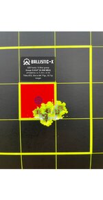 Ballistic-X-Export-2023-03-18 09_02_22.717585.jpg