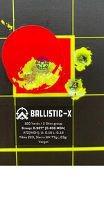Ballistic-X-Export-2023-03-18 09_41_03.182765.jpg