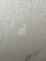 B93D8C03-1A22-41F6-929A-5479D434A271.jpeg