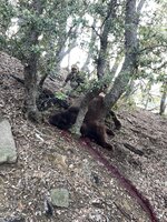 IMG_6052.jpeg