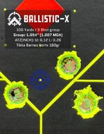 TikkaBarnesVORTX180gr.jpg