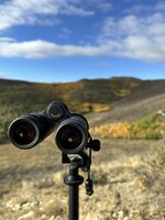 E97BB547-00D3-4C1F-8419-A2ABBEC3A281.jpeg E97BB547-00D3-4C1F-8419-A2ABBEC3A281.jpeg