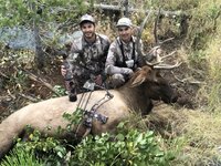 ElkNut Bull.JPEG