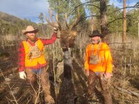 Elk 1.jpg