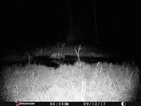C1BAA548-D2EF-4625-81EA-D71202D8F2AD.jpeg