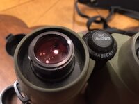 541845F8-15A5-4480-B204-6434FFC2BD32.jpeg