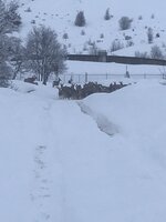 D9983162-BB76-42A5-92E1-4F5E2DFE7B4E.jpeg