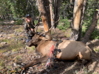 Screen Shot 2023-04-01 at 10.14.31 AM.png