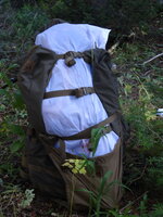 Fulcrum6.JPG