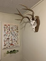 2F633328-9F84-45BB-AD55-2BE3C991647D.jpeg 2F633328-9F84-45BB-AD55-2BE3C991647D.jpeg