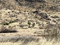 27C9E749-0906-45C6-A150-EB0A38DF7D68.jpeg