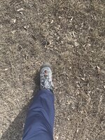 5DAE907F-3BDD-4C3B-87AA-43361323C7D0.jpeg