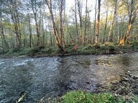 16BA7C22-C424-461D-823B-06AA62AF700F.jpeg