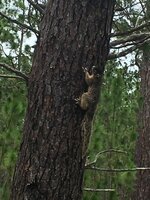 IMG_1201.JPG