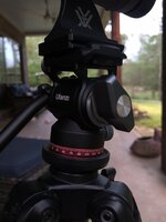 IMG_5361.jpeg