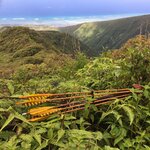 IMG-20180629-WA0014.jpg