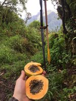 IMG-20180629-WA0015.jpg