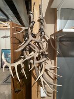 IMG_8341.jpeg