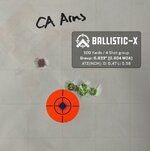 Ballistic-X-Export-2023-02-11 17_27_08.639571.jpg