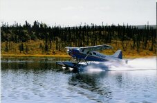 Alaska 97 (6).JPG