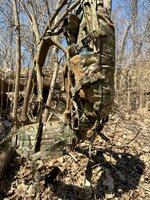 IMG_4646.jpeg