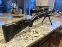 IMG_3885.jpeg