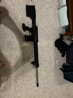 IMG_2529.jpeg