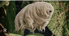 4E4C1C3B-7B51-45E3-8F04-E3724C3F0783.jpeg 4E4C1C3B-7B51-45E3-8F04-E3724C3F0783.jpeg