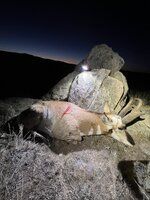 IMG_8102.jpeg