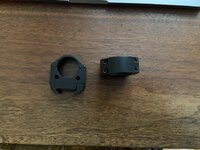 IMG_4665.jpeg