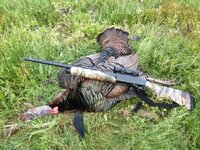 IMG_0377.jpeg