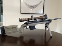 IMG_9794.jpeg