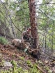 IMG-20180906-WA0042.jpg